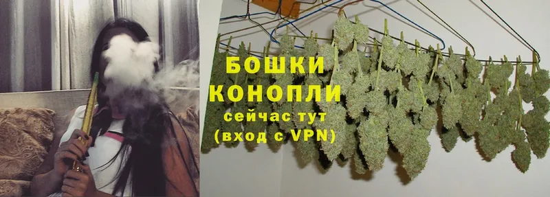 Бошки марихуана Ganja  Козьмодемьянск 